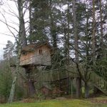 Domaine Hauts de Ribeauvillé - Cabanes dans les Arbres - Esthétique Homme